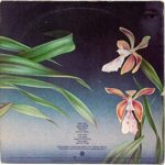 BSK 3132 [LP]