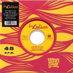 VAMPI 45003 [7"]