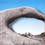 DAN004 [2LP]